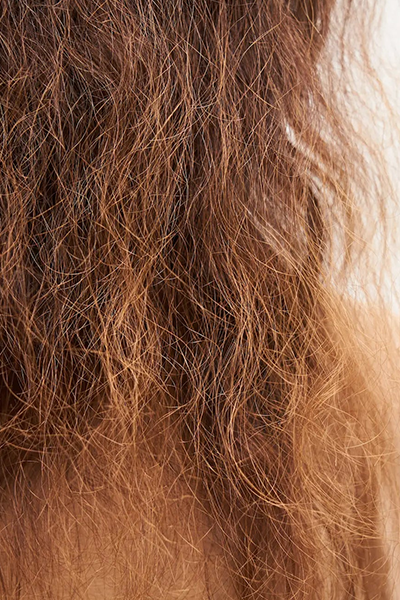 Hydrate Dry Hair: Benefits of Asta's Hair Repair Oil