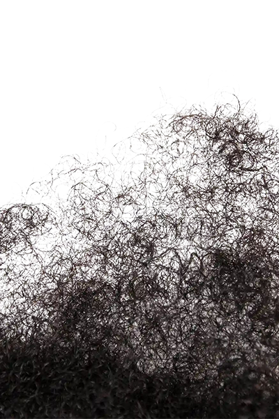 The Invisible Enemy - How Sun and Pollution Damage Your Hair