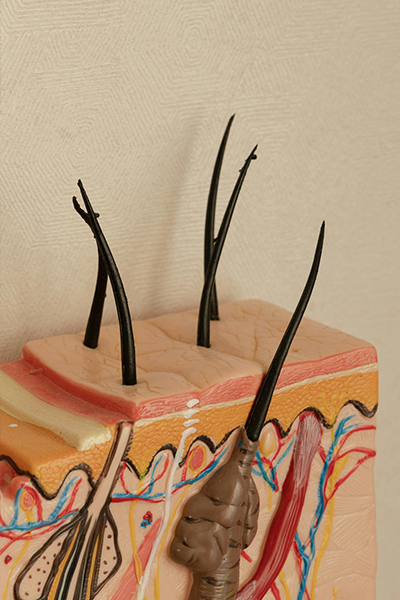 Why Scalp Care Should Be Your First Step